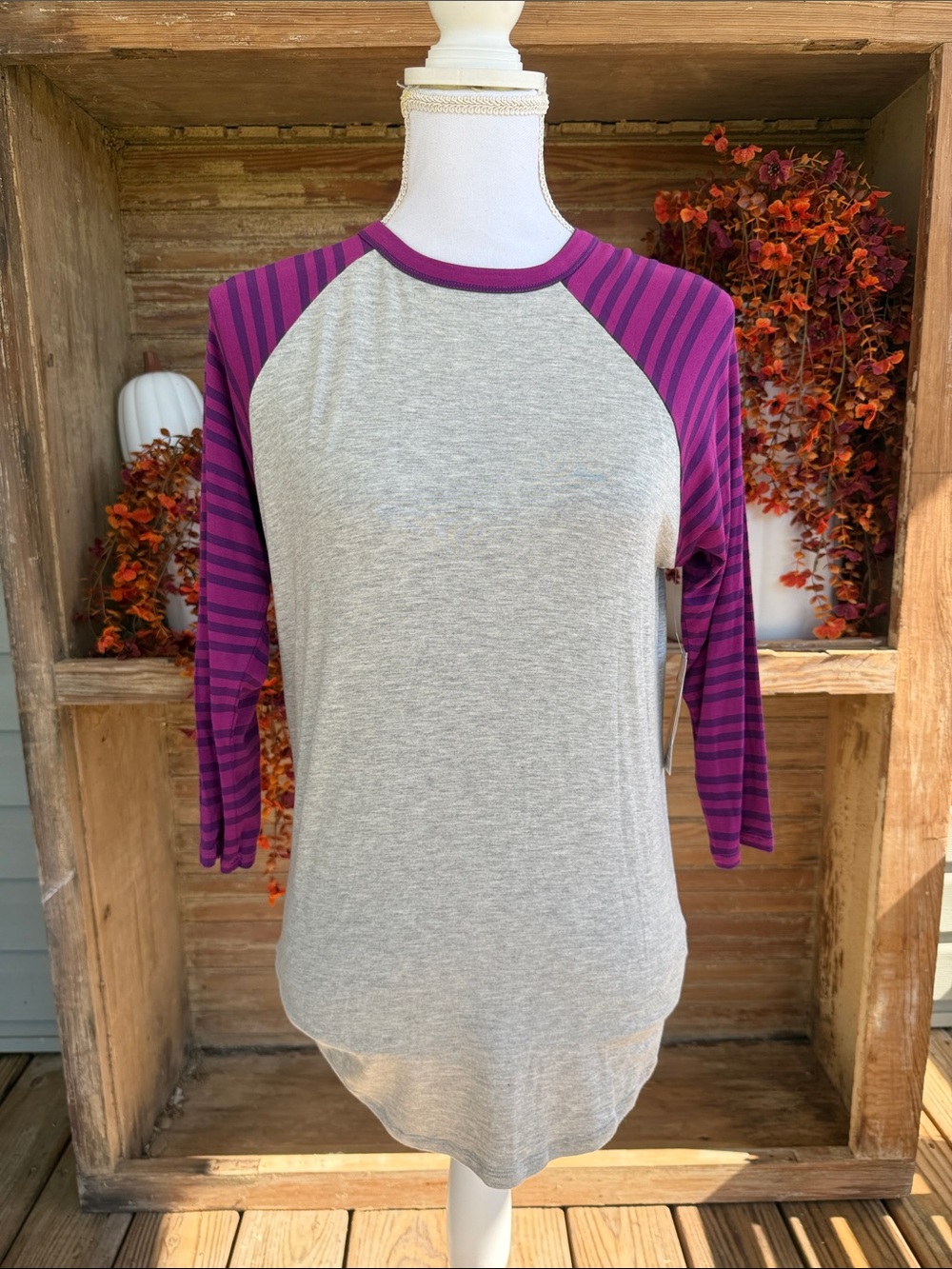 Purple Stripe Raglan Sleeve Women's Top - Gray Body Randy Lularoe